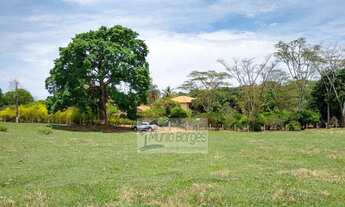 Imagem 4: Chácara de 1 alqueire e 45 litros à venda em Leopoldo de Bulhões!