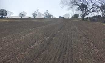 Imagem 2: Sítio com 6,5 Alqueires ou 157.300,00 metros, Quadra/SP