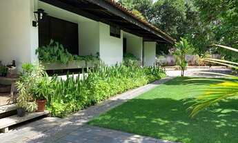 Imagem 2: Casa Residencial ou Comercial em Apipucos