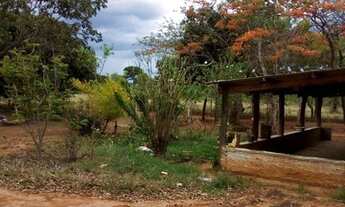 Imagem 7: Vende-se chácara no municipio de Arinos