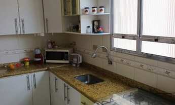 Imagem 7: SãO BERNARDO DO CAMPO - Padrão - Nova Petrópolis