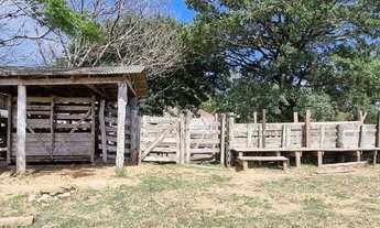 Imagem 7: Magnifica área comercial de 60 hectares em Águas Claras