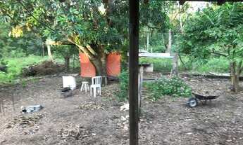 Imagem 5: VENDE-SE chcara na região do bairro pedra 90. ?LEIA O ANÚNCIO?