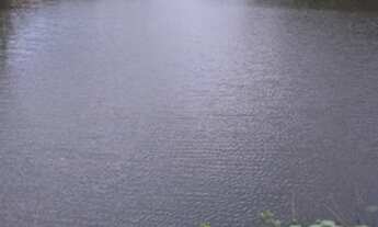 Imagem 5: Fazenda para Venda em Baturité - TE11470