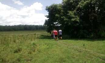 Imagem: Chácara à venda, Tracuateua, Bragança