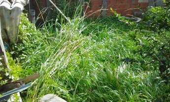 Imagem 3: Terreno em nova tramandaí