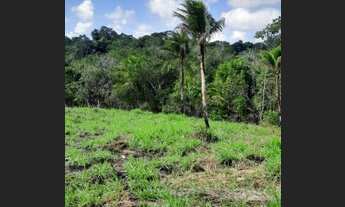 Imagem 7: Fazenda Nazaré das Farinha otima localizacao