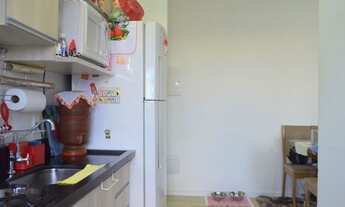 Imagem 2: Apartamento padrão para venda Jardim Cidade Pirituba São Paulo - 766