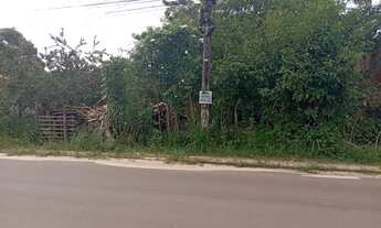 Imagem 4: Vendo excelente terreno no Turu