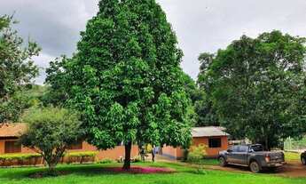 Imagem: Rodrigo - Crédito Rural R$ 360.000,00