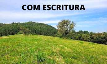 Imagem 2: SÍTIO DE 2 HECTARES NA PARADA 89 DA RS020