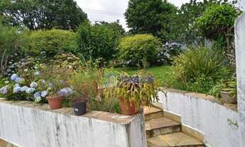 Imagem 4: Casa com 3 dormitórios à venda, 1000 m² por R$ 6.500.000,00 - Jardim Centenário - São Paul