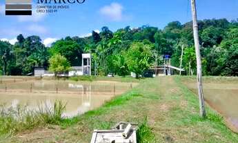 Imagem 3: Vendo Piscicultura peixe Du bom km 146 BR 174