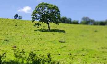 Imagem 7: Lote/Terreno para venda com 500 metros quadrados em nazare paulista