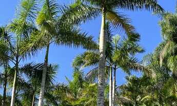 Imagem 3: Sitio a Venda Chácara com venda por R$400.000