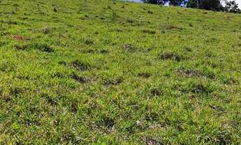 Imagem 7: VENDO TERRENOS EM NAZARÉ PAULISTA