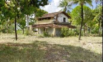 Imagem 3: Fazenda/Sítio/Chácara para venda 2 Alqueires com plantio de café e pomar com casa para m