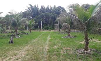 Imagem 4: Sítio no Novo Airão