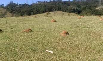 Imagem 5: Terreno com melhor investimento