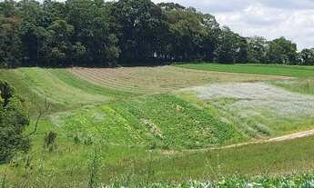 Imagem 2: 11O- Terreno em Cotia com oferta imperdível