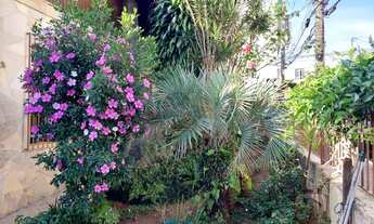 Imagem 4: Casa Térrea à Venda e Locação em Veleiros - São Paulo