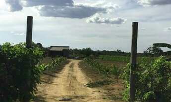 Imagem 4: Sítio medindo 4.000m2 próximo ao Haras Camping Club