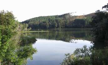 Imagem: Terreno para Venda em Campo Alegre, Postema