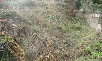 Imagem 7: Terreno no bairro Teresópolis