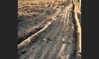 Imagem 6: Chácara para Venda em Mucugê