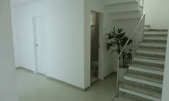 Imagem 6: Aruana, Rota do Sol, na Melício Machado