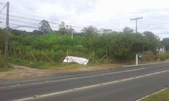 Imagem 2: Porto Alegre - Terreno Padrão - Agronomia
