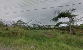 Imagem 2: Área em Caraguatatuba. Pé na Areia