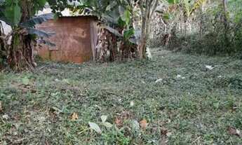 Imagem 6: Chácara a venda