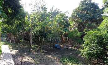 Imagem 7: Chácara - Parque dos Pinheiros - Hortolândia