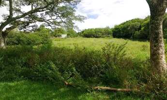 Imagem 2: Sítio de 3600m2