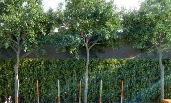 Imagem 4: Apartamento de 66m²-3 Dormitórios, sendo 1 Suíte - no Tatuapé Próximo à estação do metrô