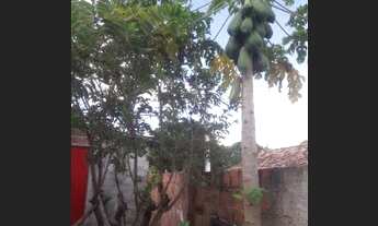 Imagem 6: Casa Casa com 3 dormitórios