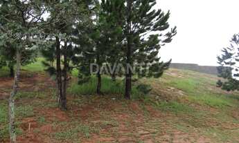 Imagem 2: Terreno - Residencial Vila Lombarda - Valinhos