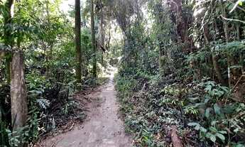 Imagem 7: Chácara - Chácaras Alpina - Valinhos