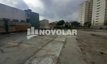 Imagem 4: Terreno, Vila Guilherme