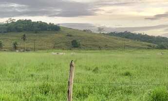 Imagem 5: Vendo excelente fazenda em São Sebastião do passe