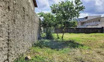 Imagem 7: Lotes planos, 192m2, doc. em dia, perto da principal