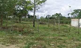 Imagem 3: Lote 1000 m2 Parque das Brisas
