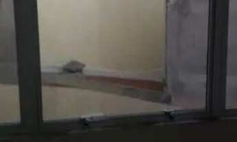 Imagem 7: Casa com 1 dormitório para alugar, 70 m² por R$ 1.370/mês - Cupecê - São Paulo/SP(J