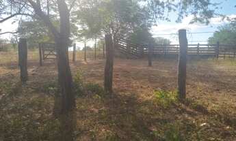 Imagem 7: Vendo Fazenda em Exu-PE 600 tarefas + casa sede e benfeitorias