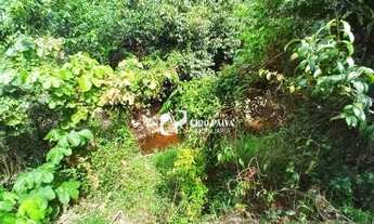 Imagem 5: Terreno à venda, 14546 m² por R$ 730.000 - Padre Julio Maria - Caucaia/CE