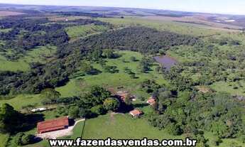 Imagem 4: Fazenda 25,5 alqueires em Corumbá de Goiás próximo a Alexânia GO