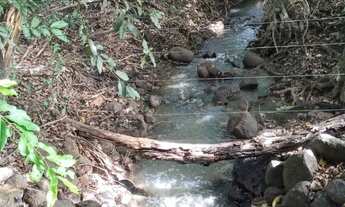 Imagem 6: Chácara de 7 hectares. Rochedinho. Boa de água. 43 km de Campo Grande