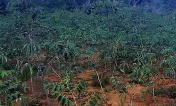 Imagem 4: Terreno em São José de Almeida