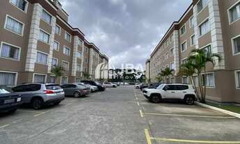 Imagem 6: CURITIBA - Padrão - Hauer